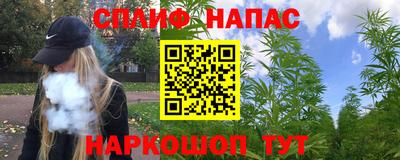 спиды Ливны